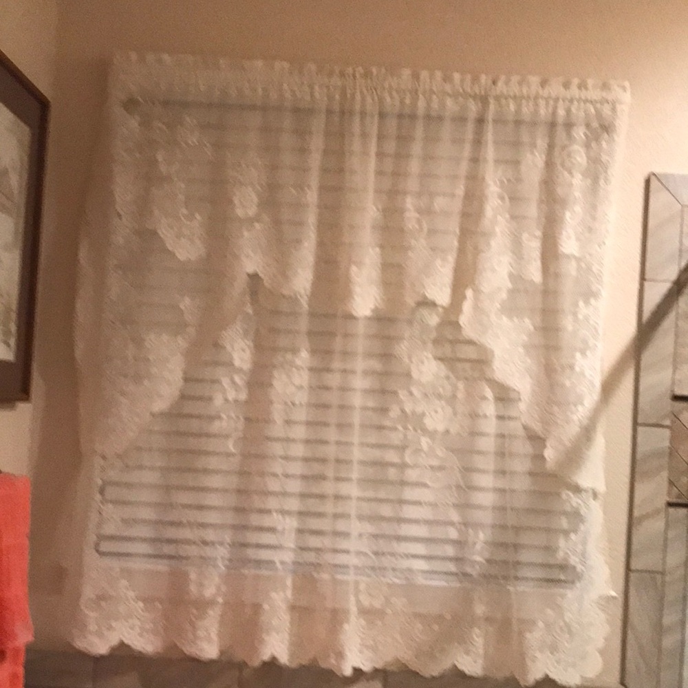 Curtain Sheer Lace Floral Curtain with Attached Valance (1-piece)